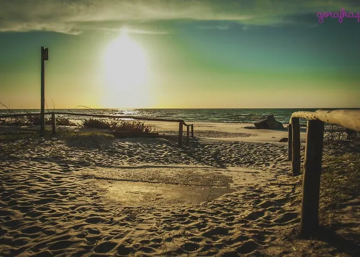 Karaibskie Lodge Sasino